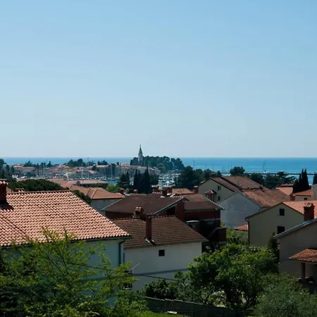 In Novigrad Апартаменты *